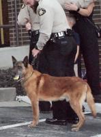 End of watch: Franklin County K-9 Rex praised for long career