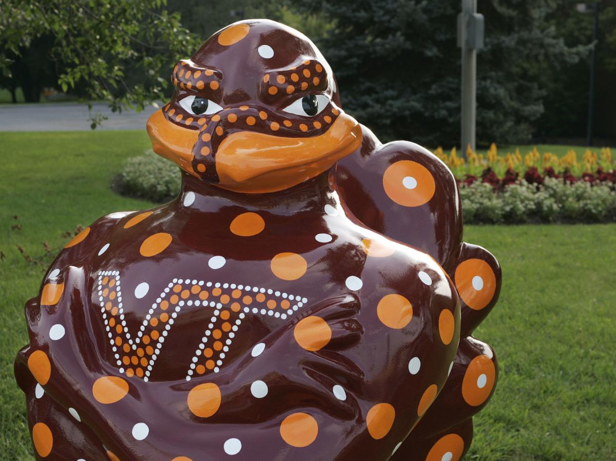 Photos Blacksburg's flock of Hokie Birds