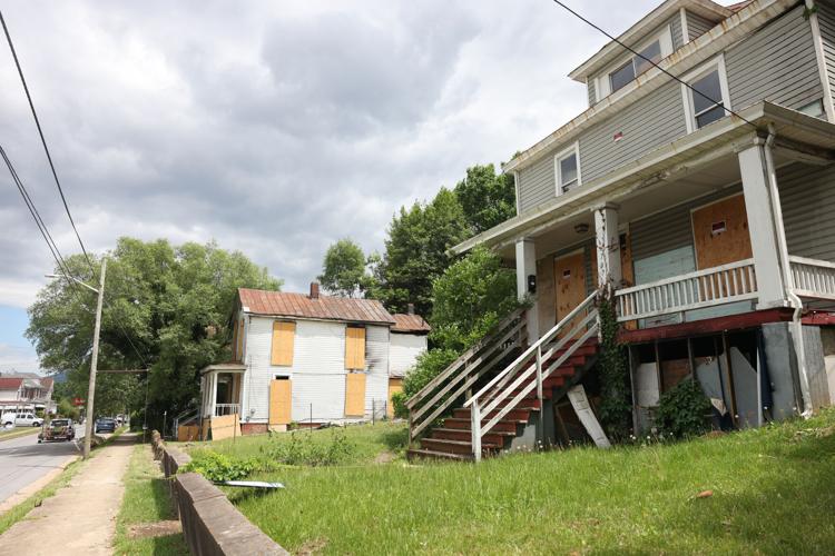 050725-roa-va-blight-01