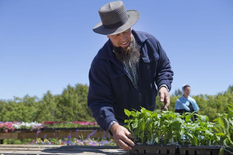 Produce auction gives Franklin County agriculture a boost