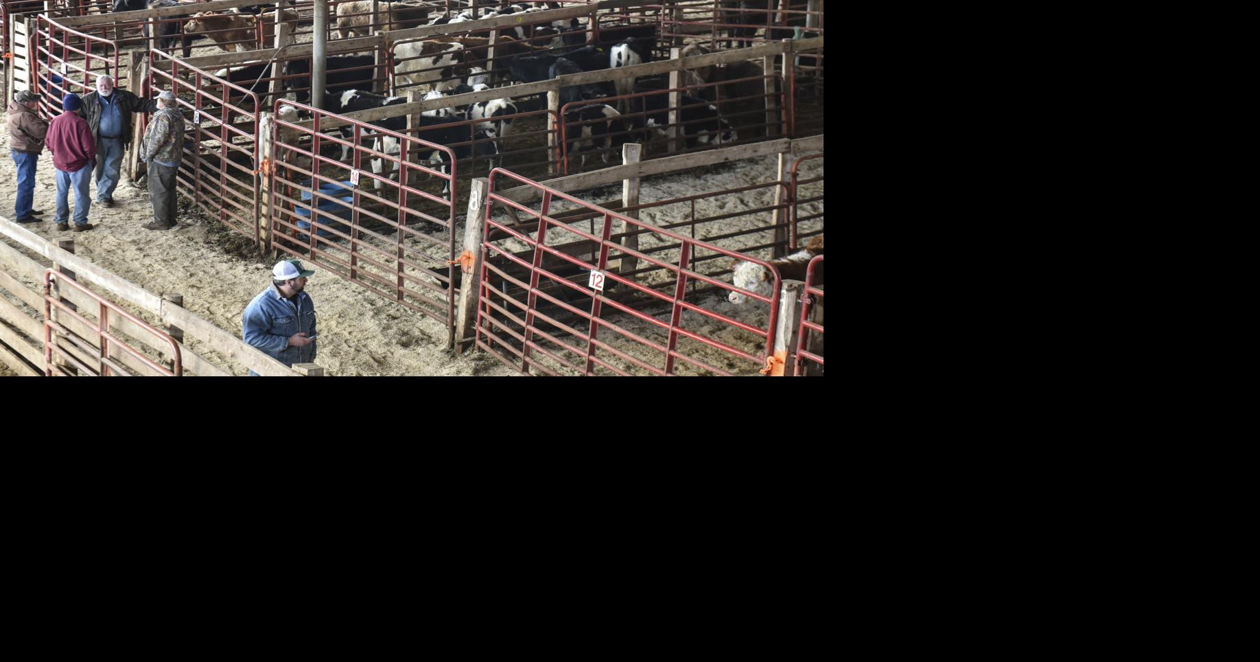 Christiansburg Livestock Market reopens after brief closure