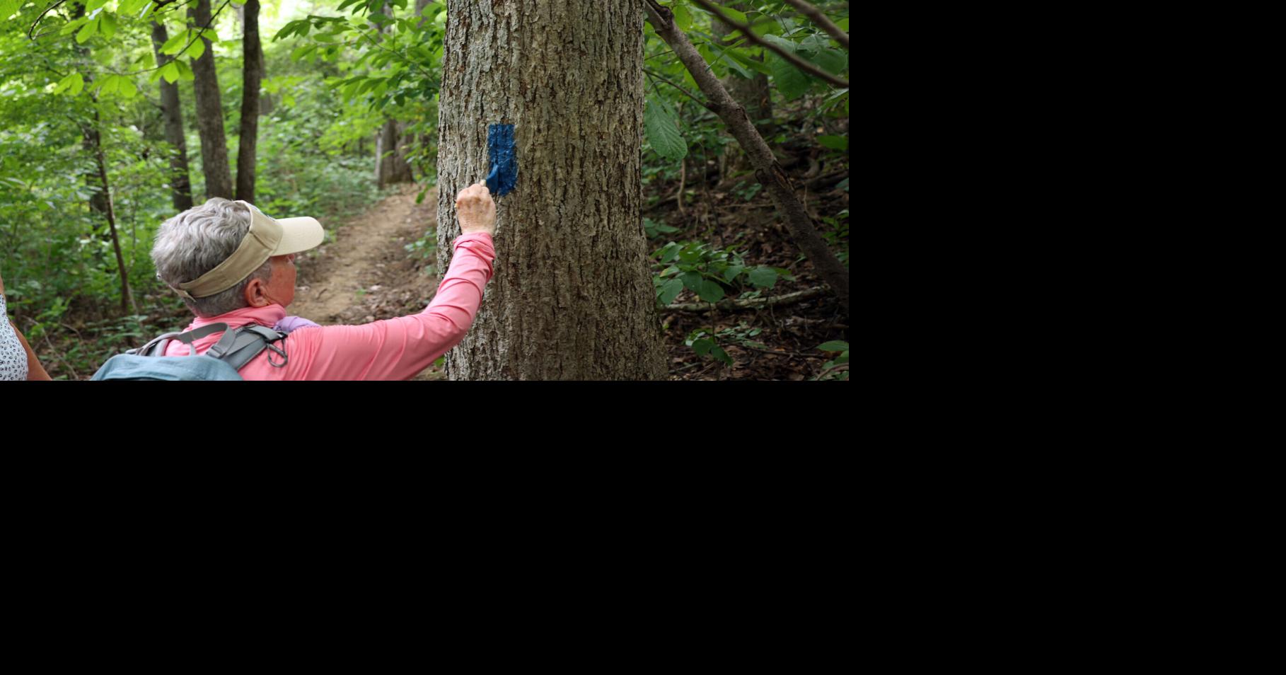 Relocated Andy Layne trailhead to Tinker Cliffs on hiking 'Triple Crown' opens