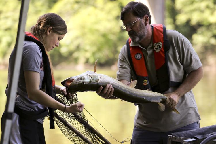 Muskie Management and Conservation by Sam Scott (Updated Oct 2023