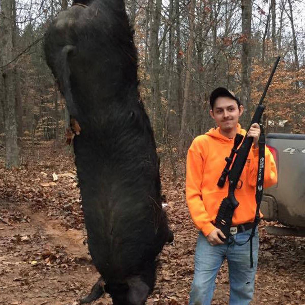 Culpeper teen shoots, kills 545 pound hog, possibly feral, that