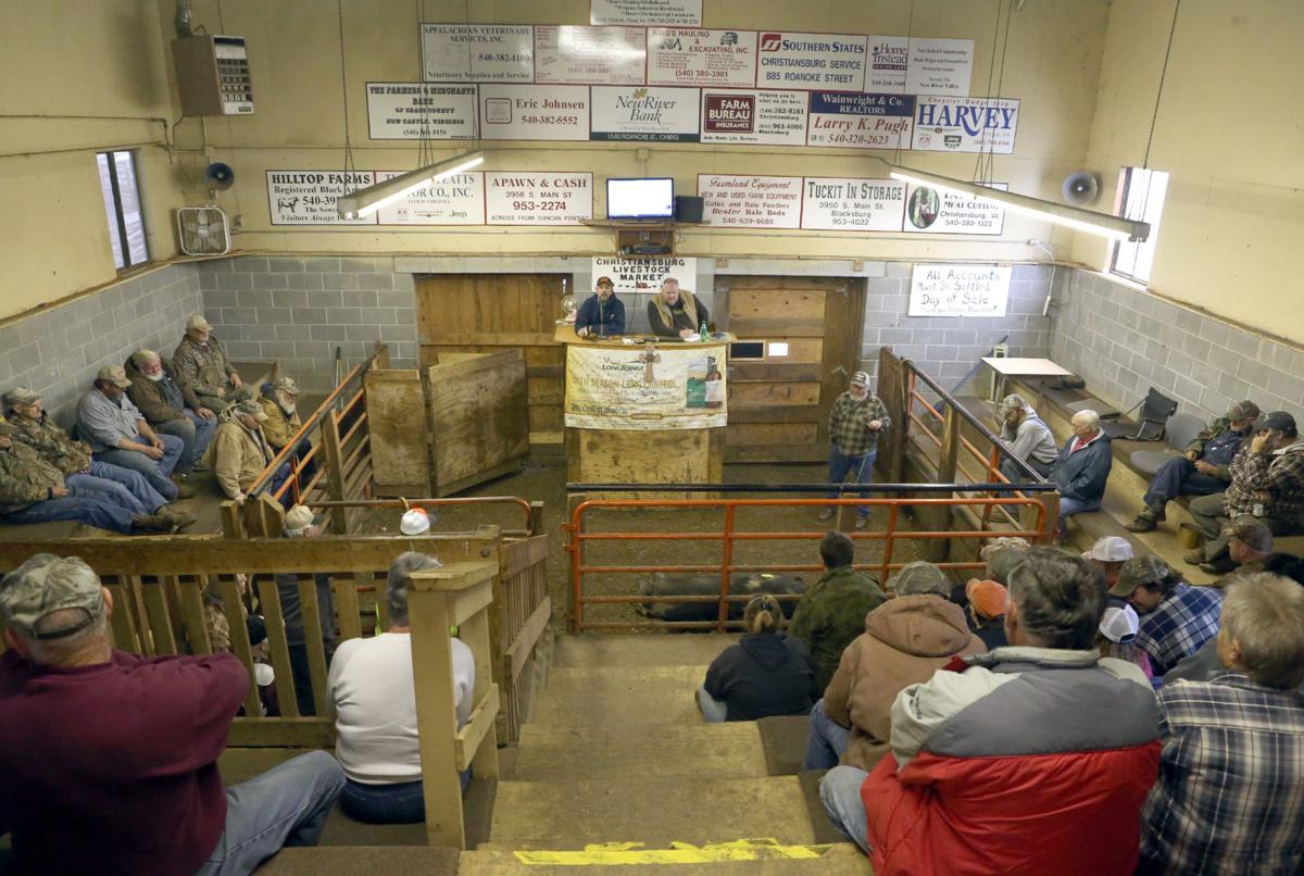 Family effort is keeping Christiansburg Livestock Market alive Local