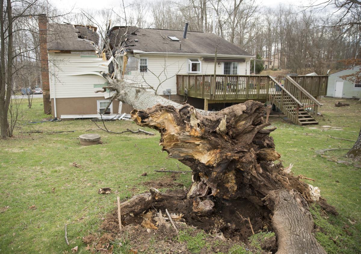 More than 75 photos of wind damage across Virginia Photo