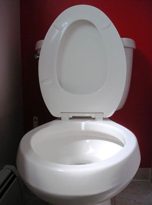 hard to find toilet seats