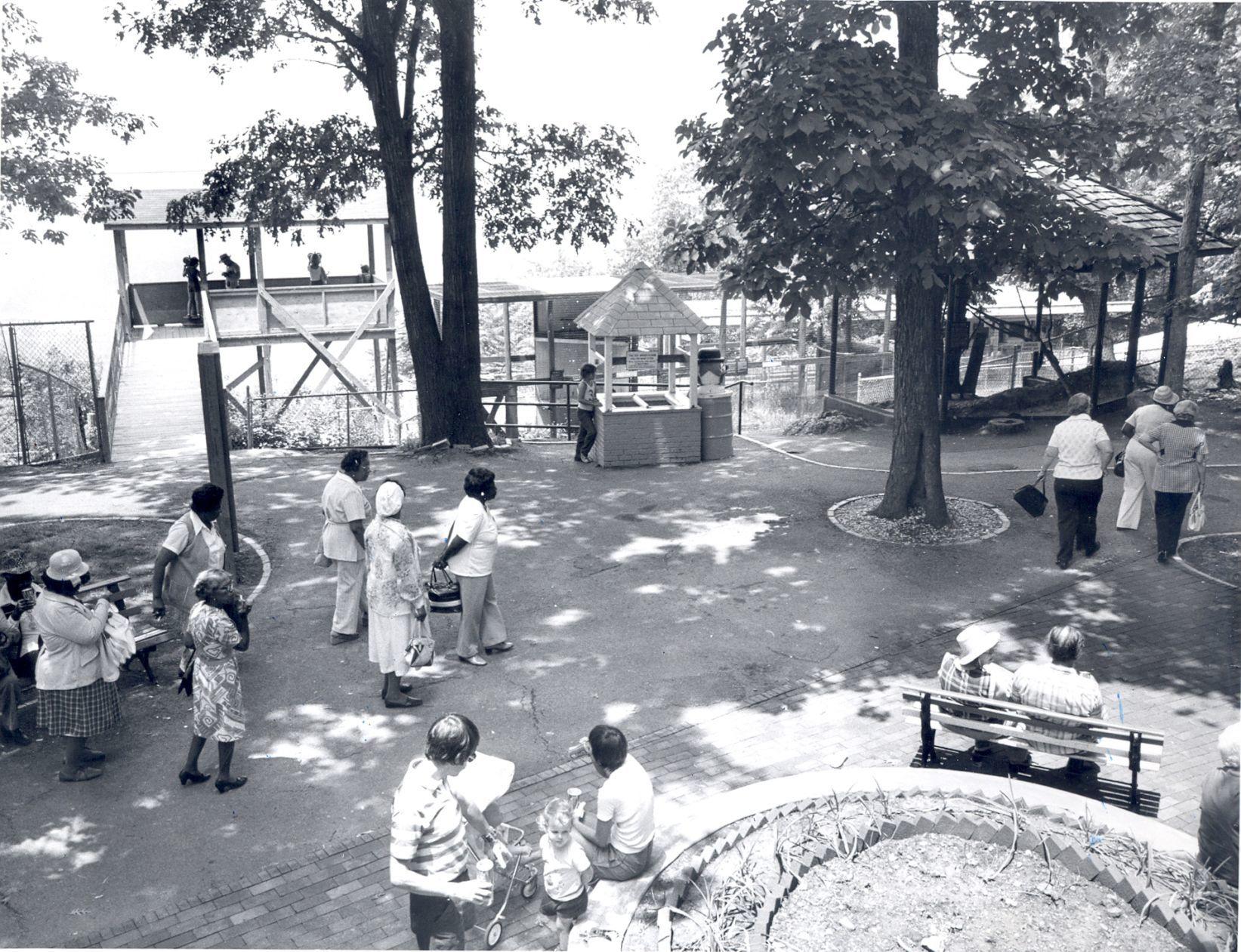 Photos Mill Mountain Zoo through the years Gallery