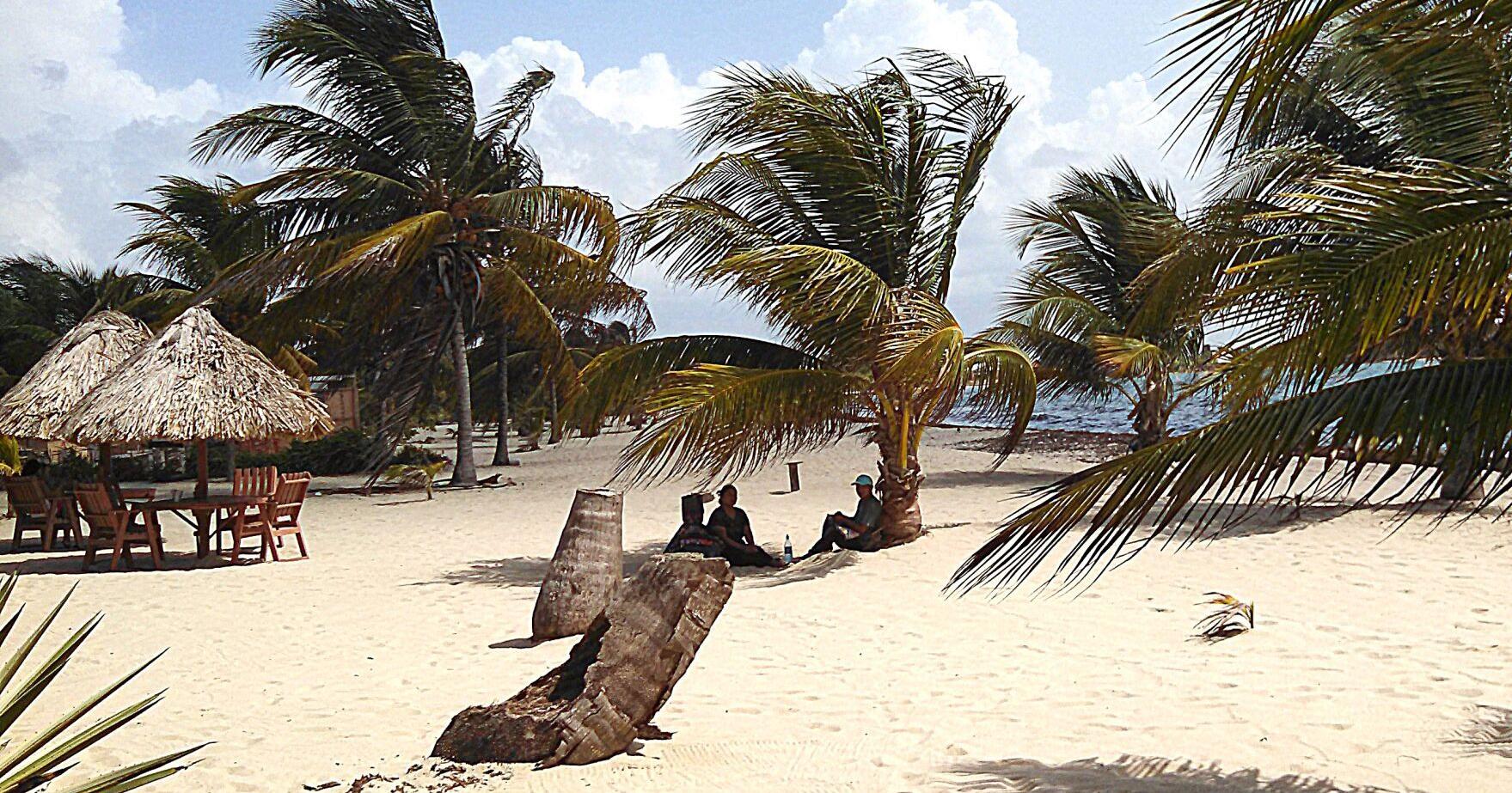 Airfare costs about $1,000; beachfront rooms are $35 & up - Vimarsana News