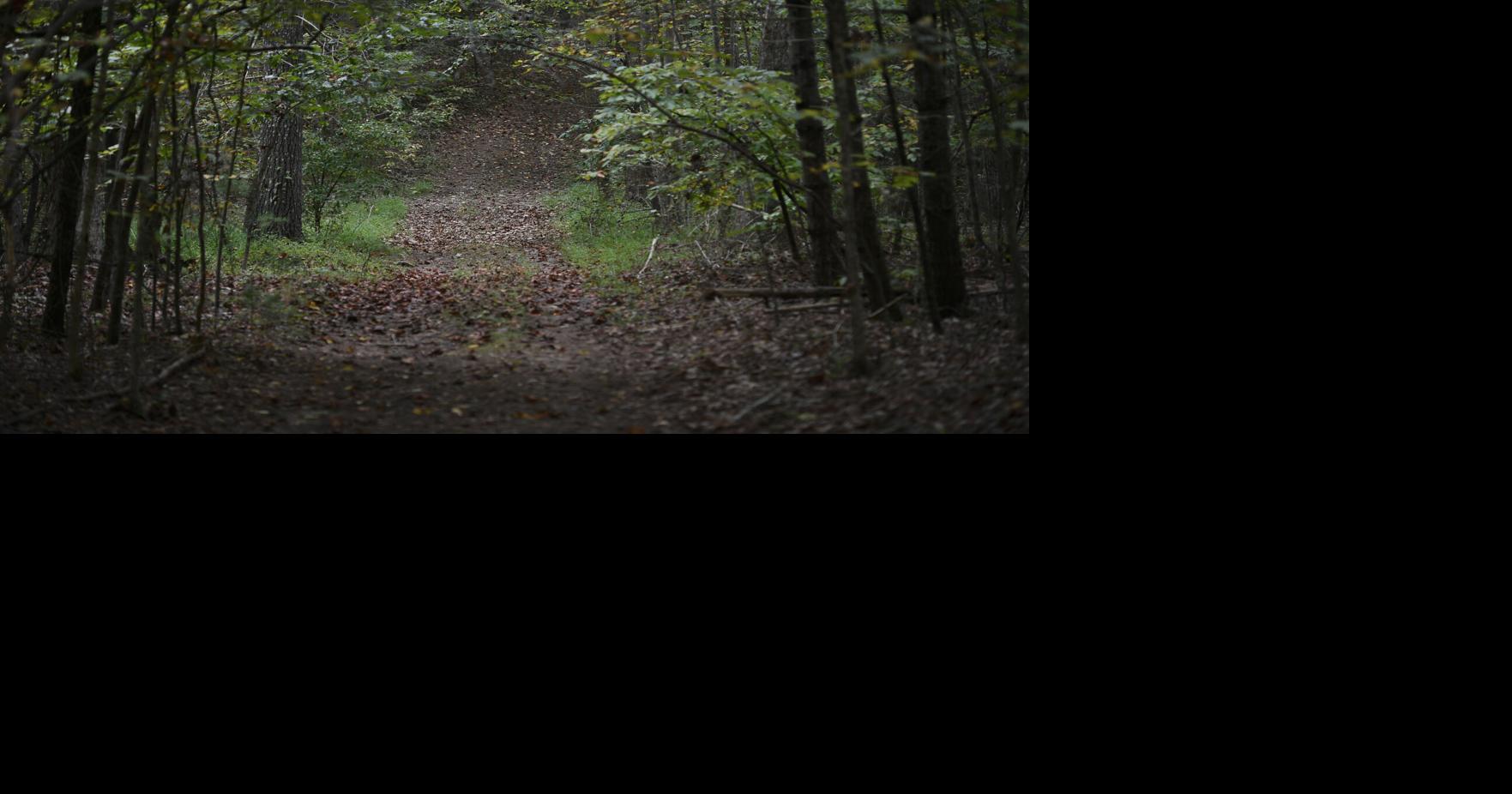 Local group looks to keep county-owned property wooded