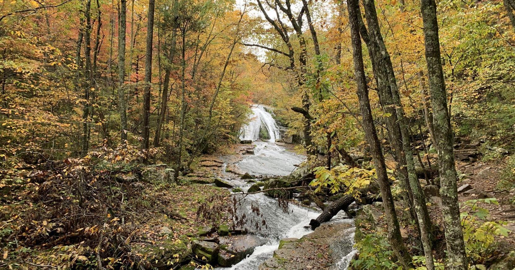 Roaring Run Recreation Area to close for improvements - Vimarsana News