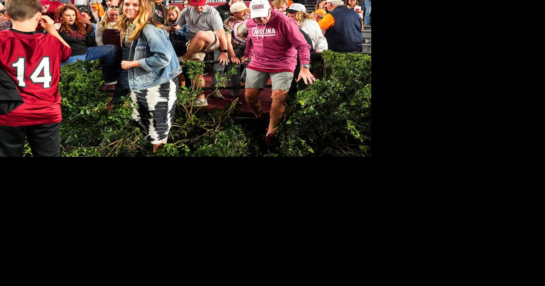 South Carolina fans jump the hedges as they storm the field after a college football game between Tennessee and South Carolina