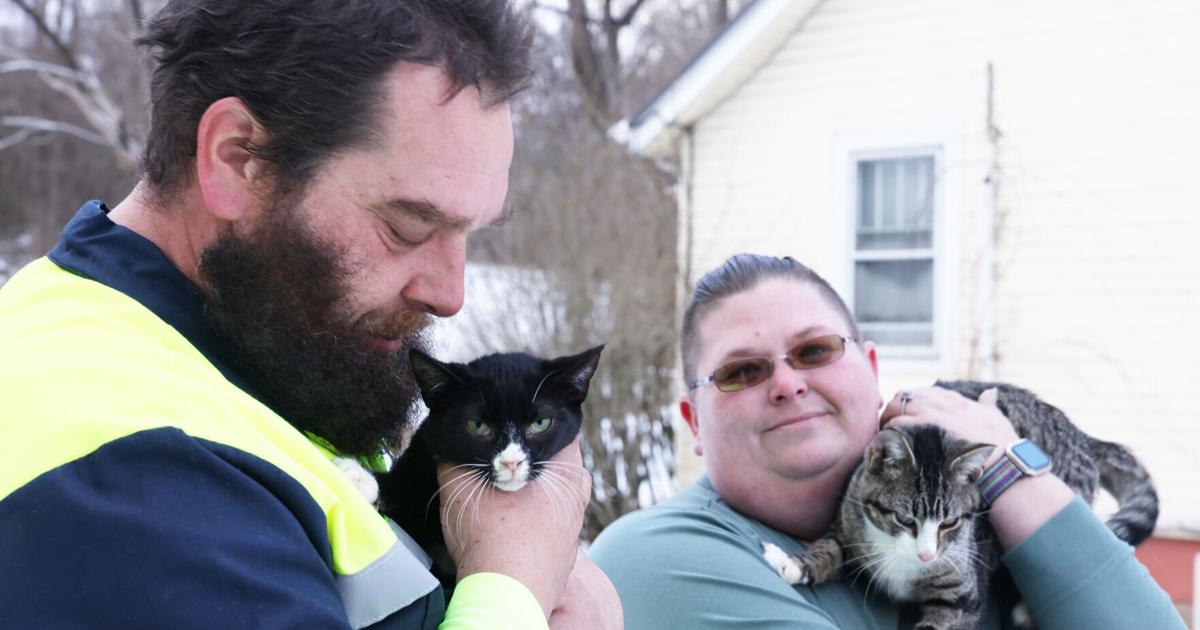 Operators of Roanoke kitten rescue get jail time for animal cruelty