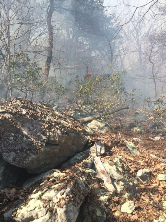 Weather conditions spread brush fire in Buchanan Latest Headlines