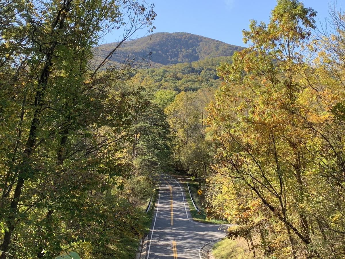 Cotton Hill Road photo