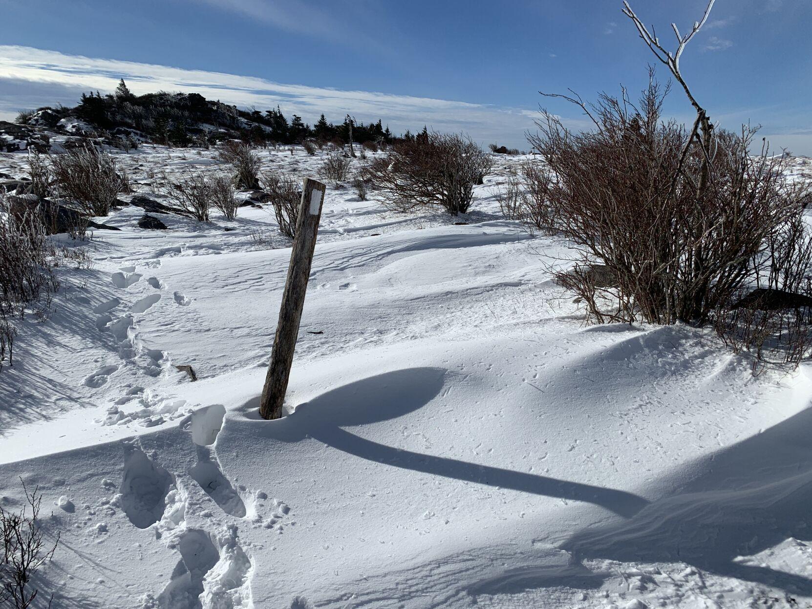 Week Ahead Cold Monday Rain Possible Snow For Wednesday Pm Thursday Weather Roanoke Com George street in pottsville, pennsylvania, on monday, feb. cold monday rain possible snow for