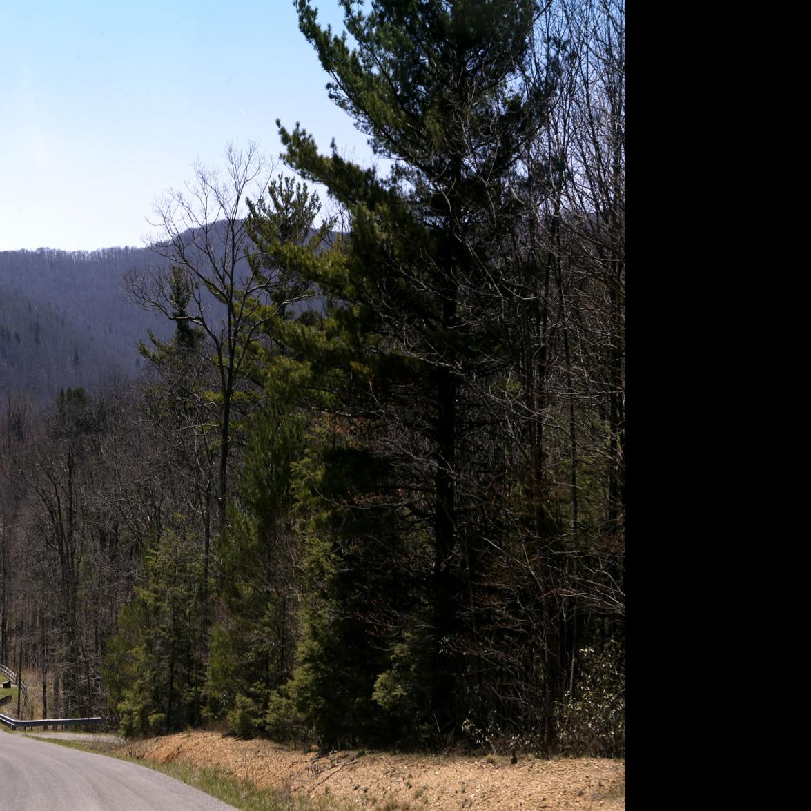 Pipeline Analysis Dramatically Underestimates Forest Impacts
