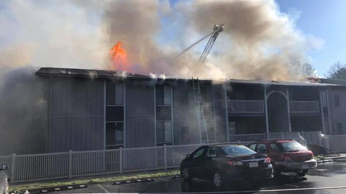 Roanoke County Fire Officials Blame Pebble Creek Apartments Blaze On Discarded Smoking Materials Local News Roanokecom Roanoke County Fire Officials Blame Pebble Creek Apartments Blaze On Discarded Smoking Materials Local News Roanokecom