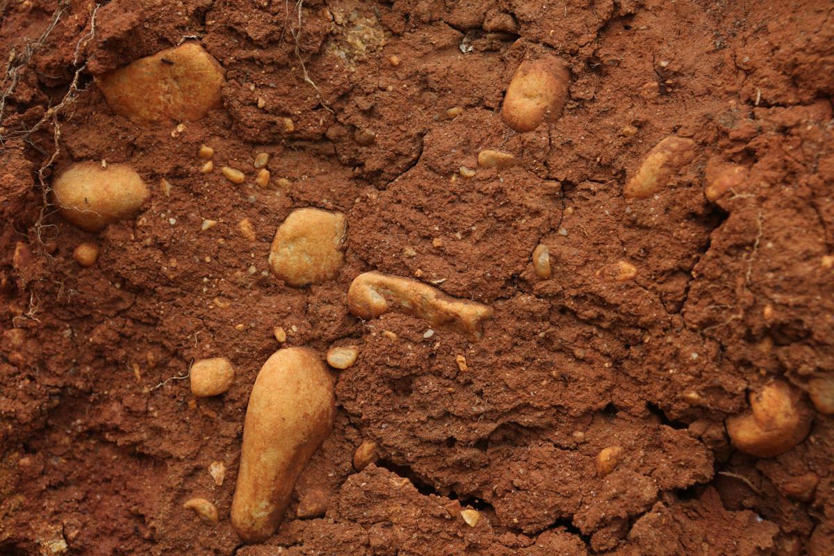 Virginia Tech soil judging team gets muddy on path to victory