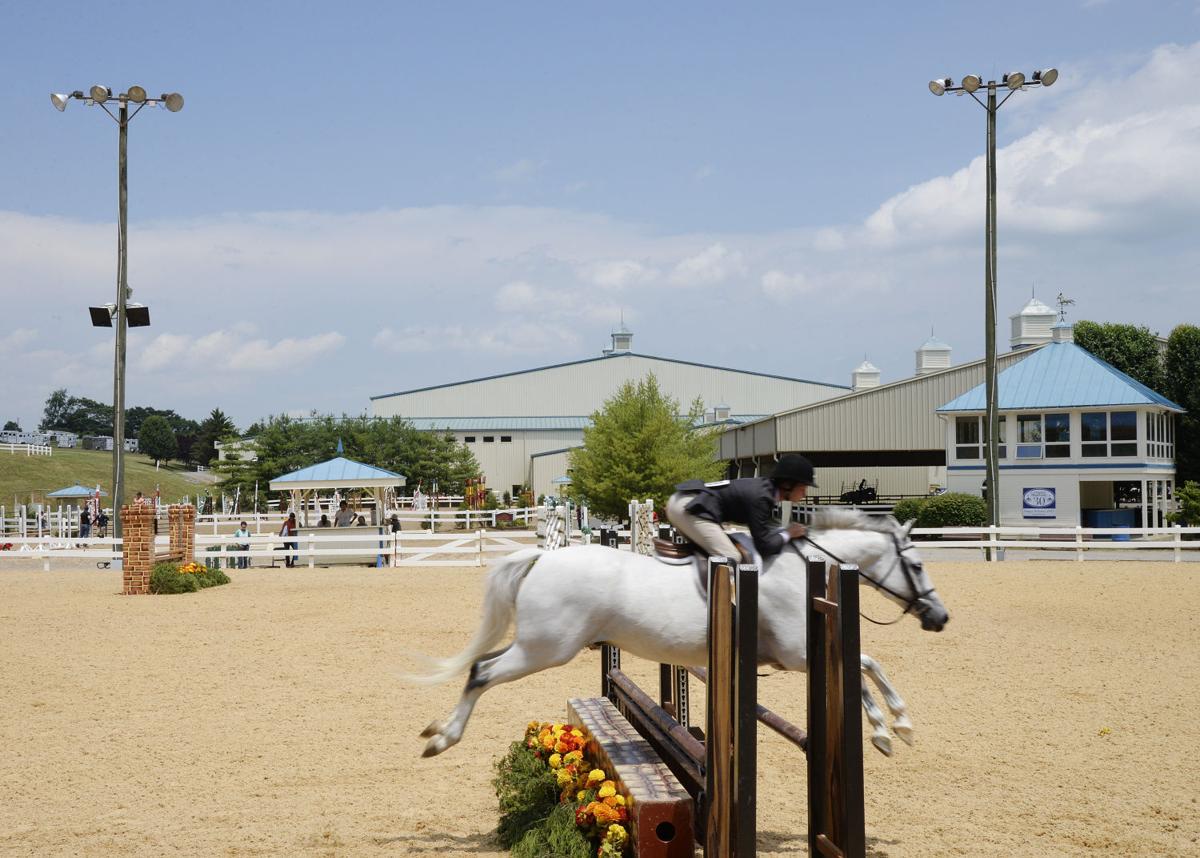 Roanoke Valley Horse Show finds good and bad in new ...