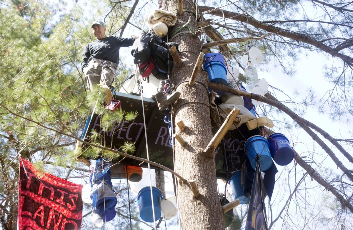 Albemarle County Christmas Tree Recycling 2022 After 212 days, treesitters are still standing against the Mountain