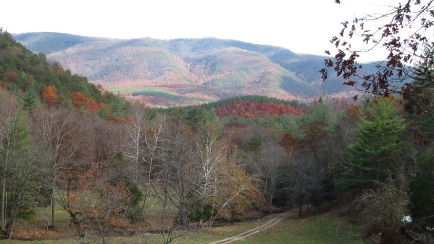 A view of North Mountain from the Hundley farm