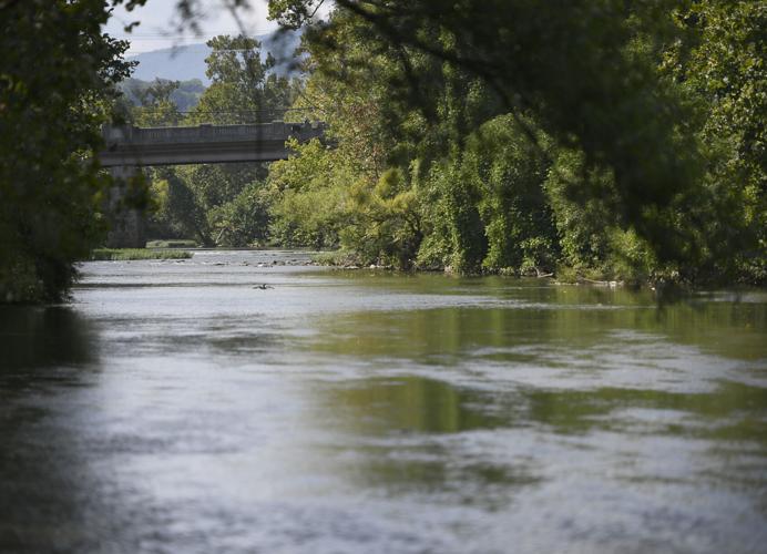 Roanoke River safe to swim and play?