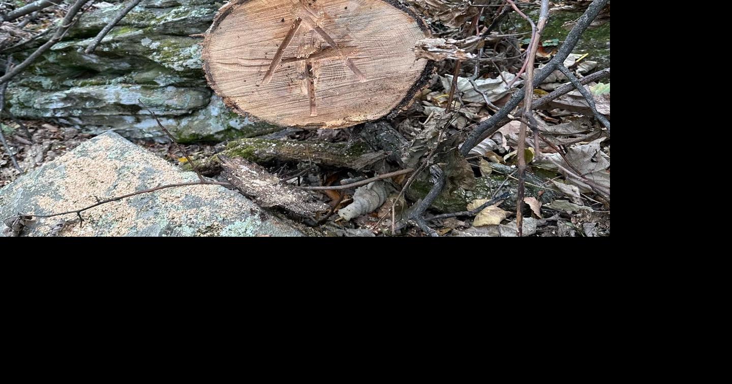 Hiker found dead on Appalachian Trail in Botetourt County