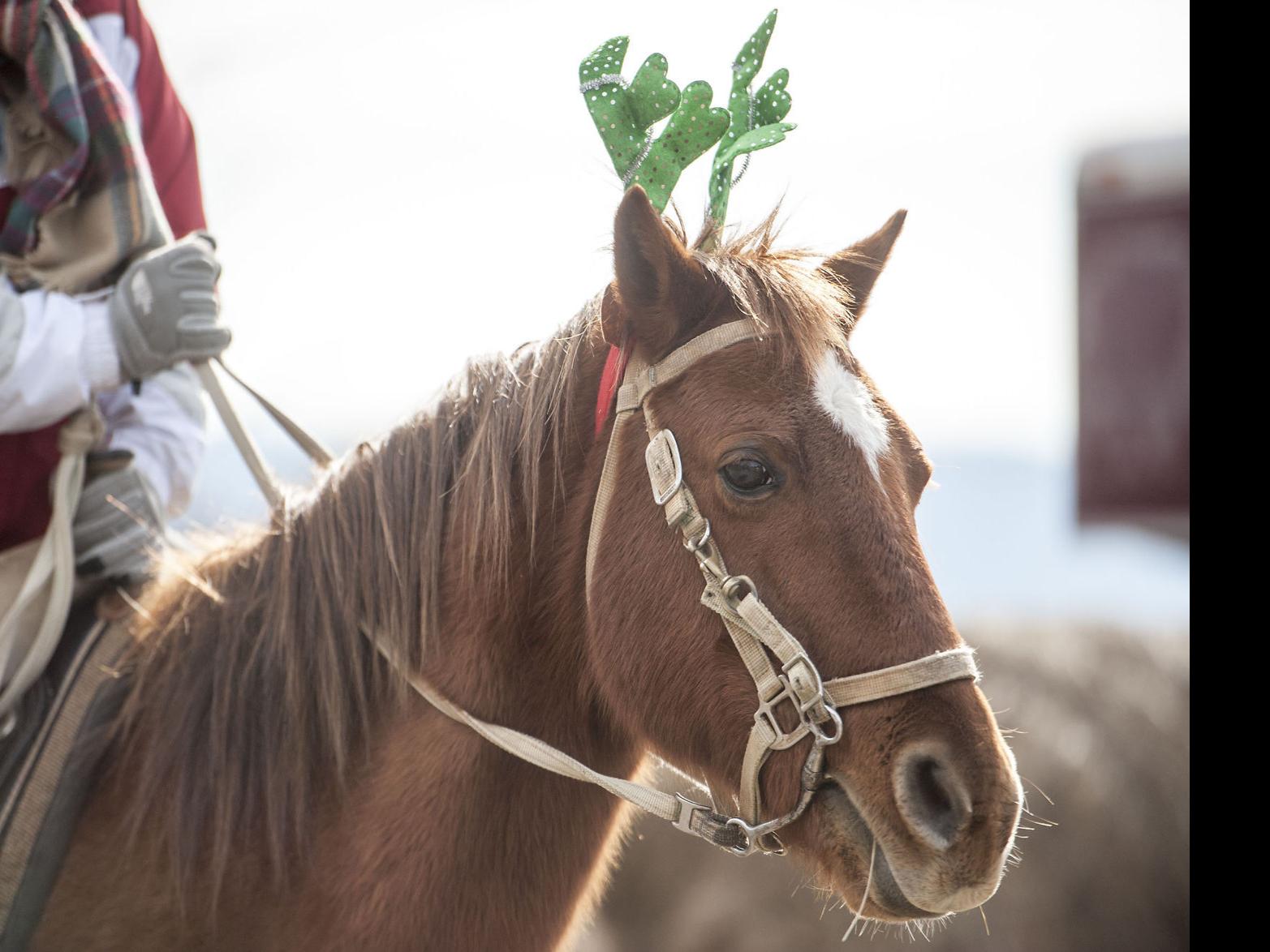 Riders Horses Bond At Bedford Farm S Cowboy Christmas Virginia Roanoke Com