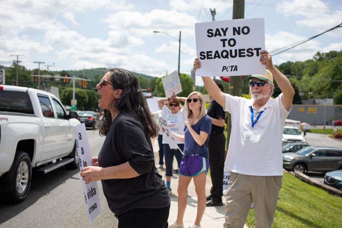 Protesters rally against SeaQuest aquarium planned for Lynchburg