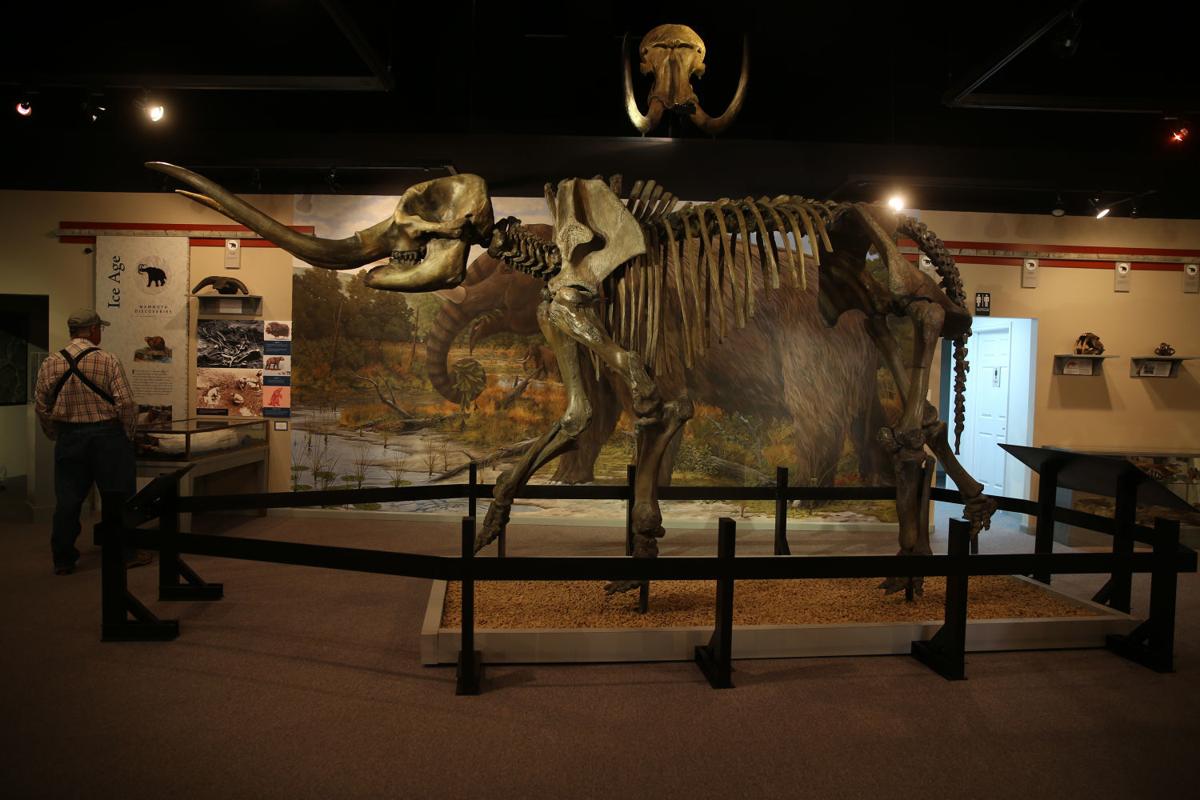 Saltville's fossil beds continue to yield prehistoric surprises