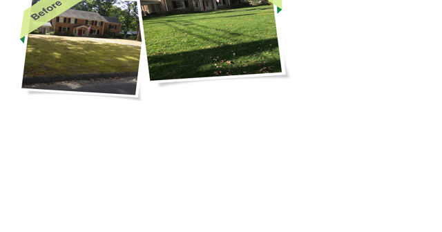 The key to a lush green lawn — aeration and seeding - Vimarsana News