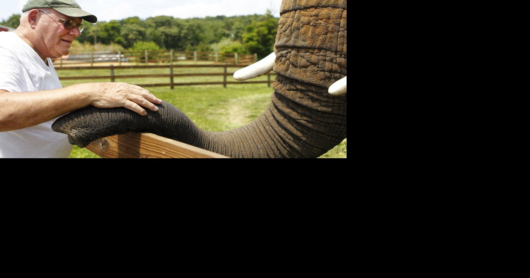 Natural Bridge Zoo fined for animal welfare violations