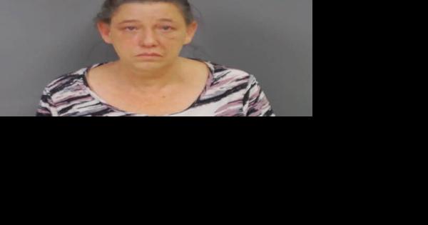 Troutville woman pleads guilty to shooting husband - Vimarsana News