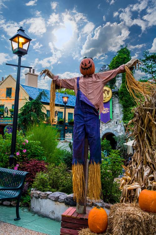 Halloween Harvest