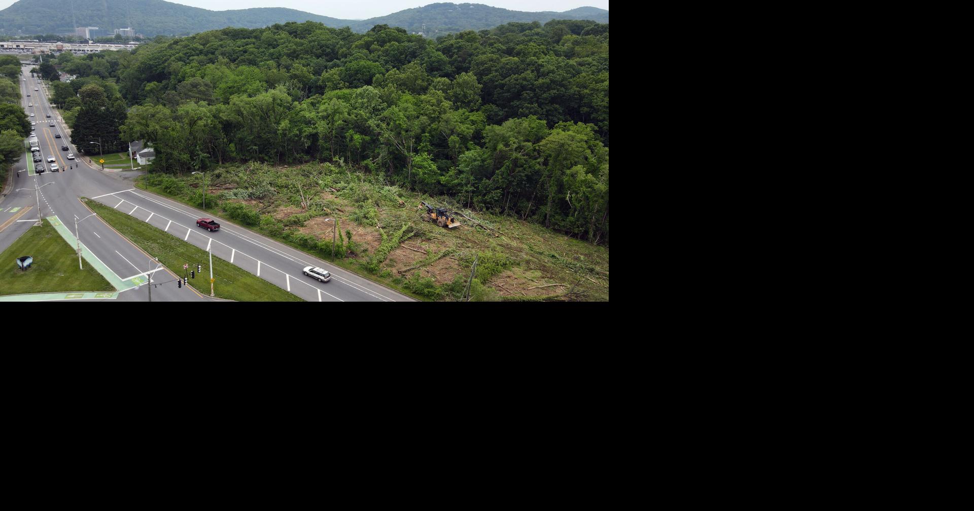 Trees cleared for new Brandon Avenue townhomes development in Roanoke