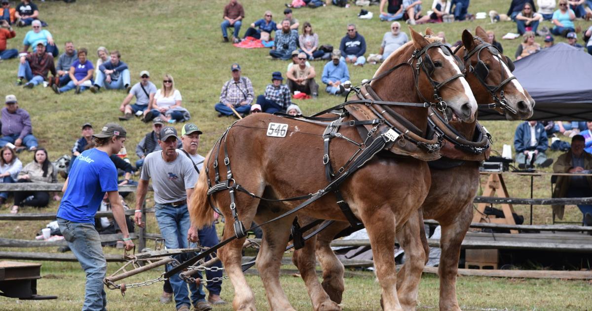 Blue Ridge Folklife Festival returns to Ferrum College, Blue Ridge