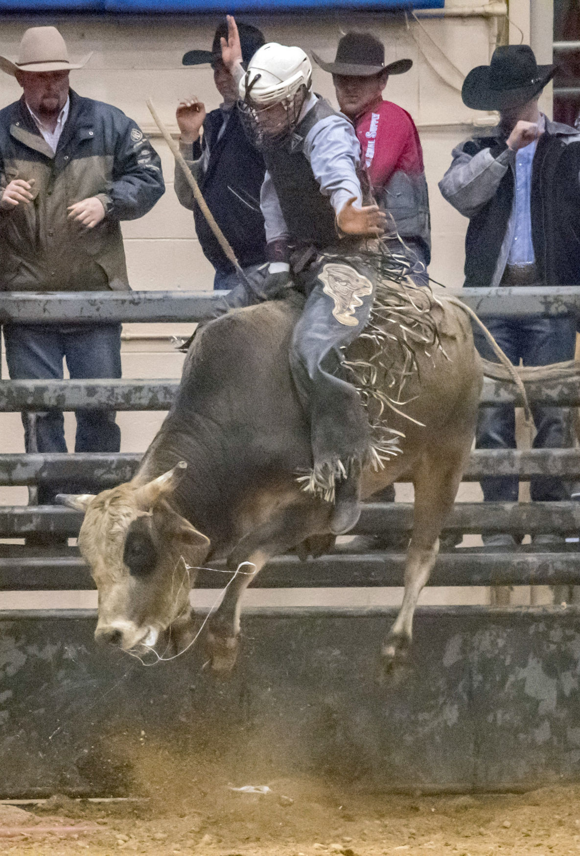 Rodeo time in Salem Entertainment