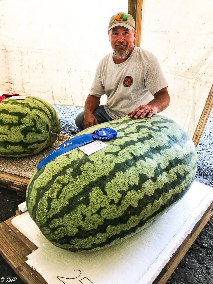 254-pound watermelon breaks State Fair of Virginia record ...
