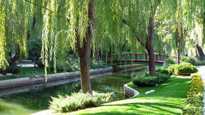 Hahn Horticulture Garden Seminar On China Archive Roanoke Com