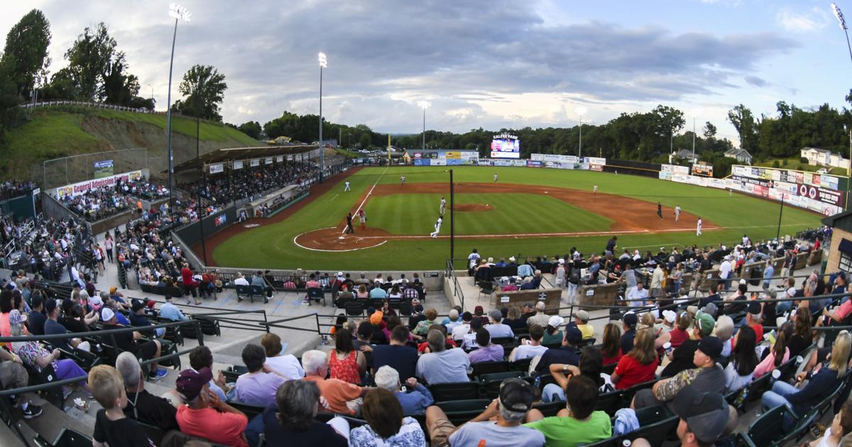 Pulaski Yankees owner plans $2 million stadium renovations as community embraces team pulaski-yankees-owner-plans-2-million-stadium-renovations-as-community-embraces-team
