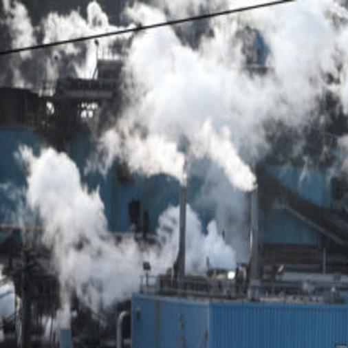 Westrock Plant In Covington Cited For Workplace Fatality Local News Roanoke Com