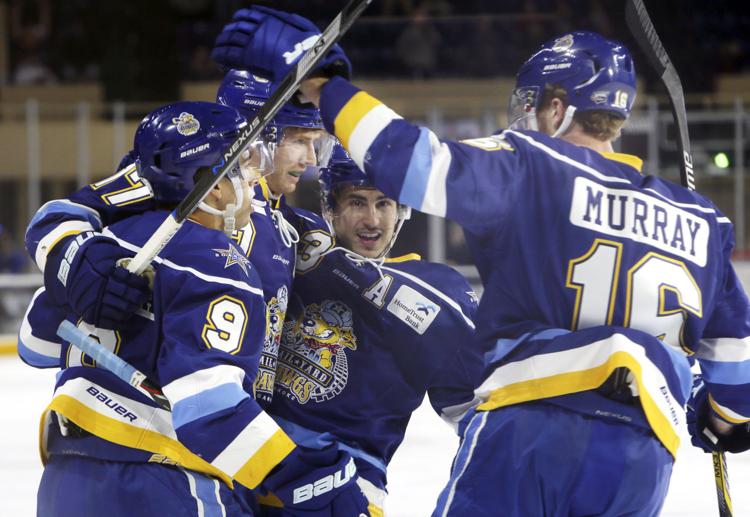 Roanoke Rail Yard Dawgs