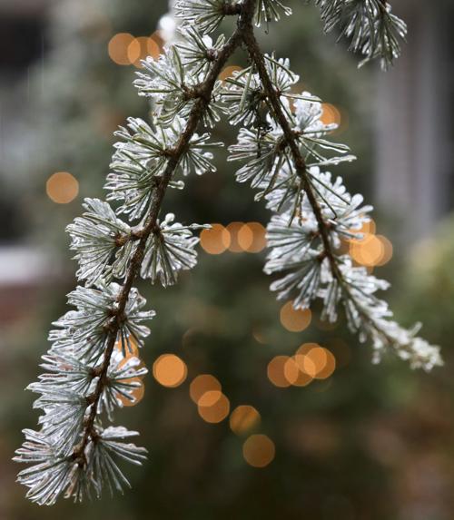 MG ice Storm 121319
