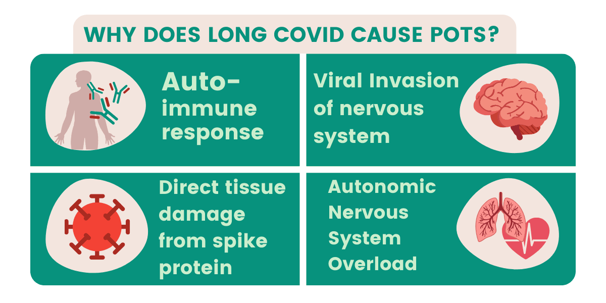 Yes, Long COVID Can Cause POTS and Dysautonomia