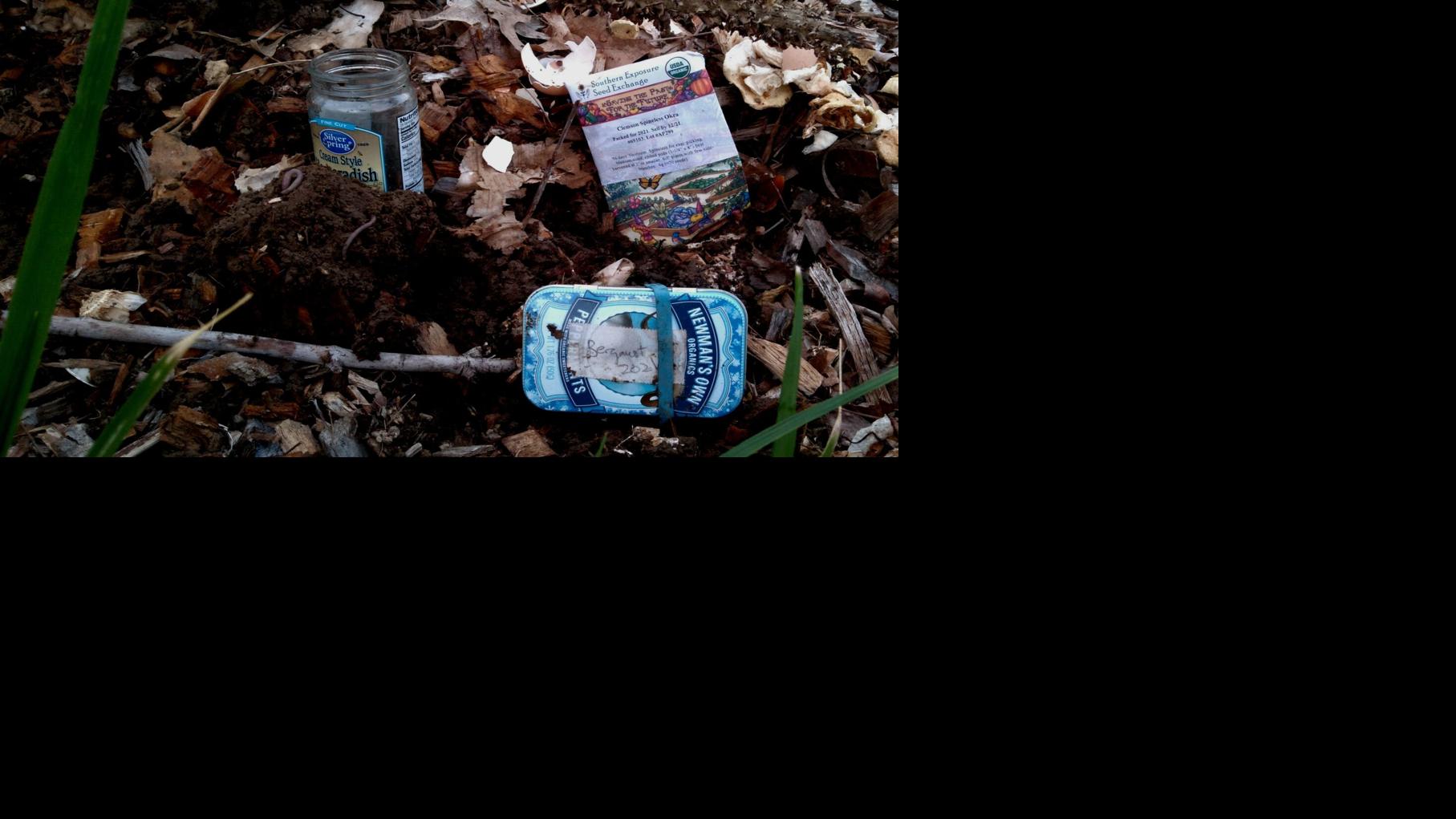 Industry Notes: Having grounded again | Home & Back garden