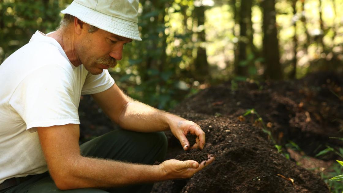 Contaminated Compost A Crop Killer For Newport Farm Business