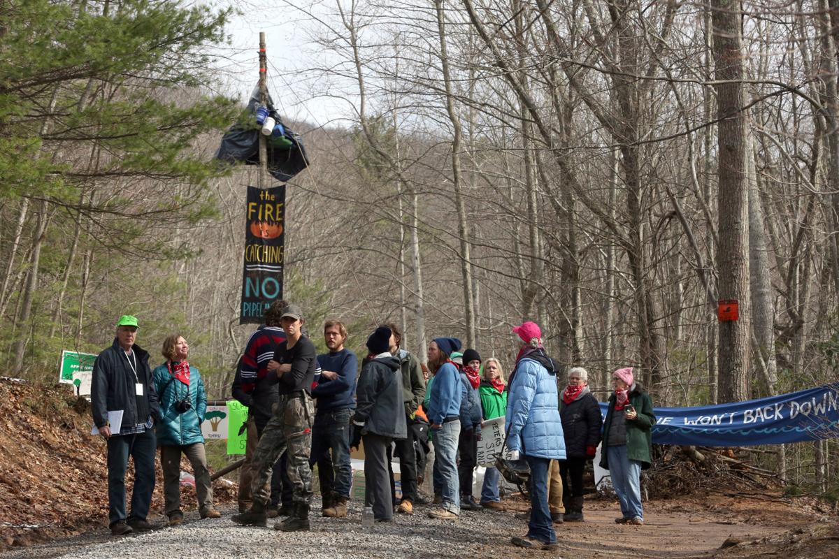 Tree sit protest of Mountain Valley Pipeline escalates drawing