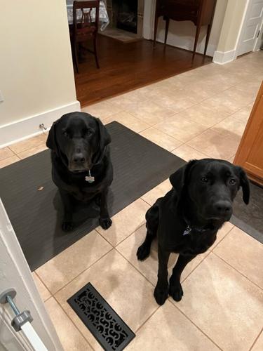 Caleb and Colby