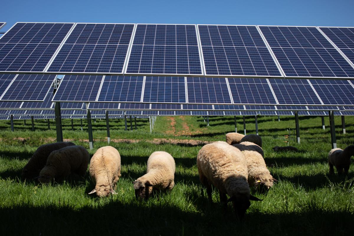Armstrong The Cost Of Virginia Solar Commentary Roanoke Com